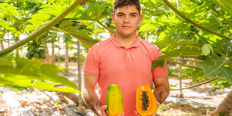 ekologiska papaya