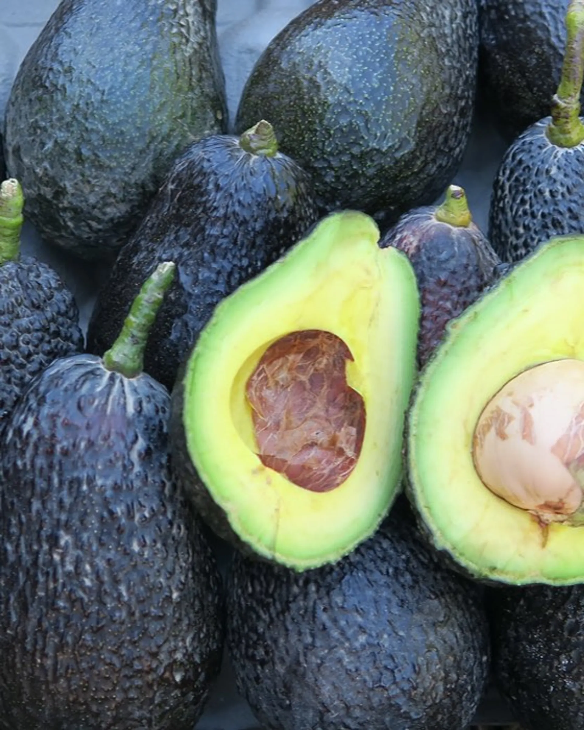 late-avocado-from-finca-los-pepones-spain-crowdfarming-farm-fresh