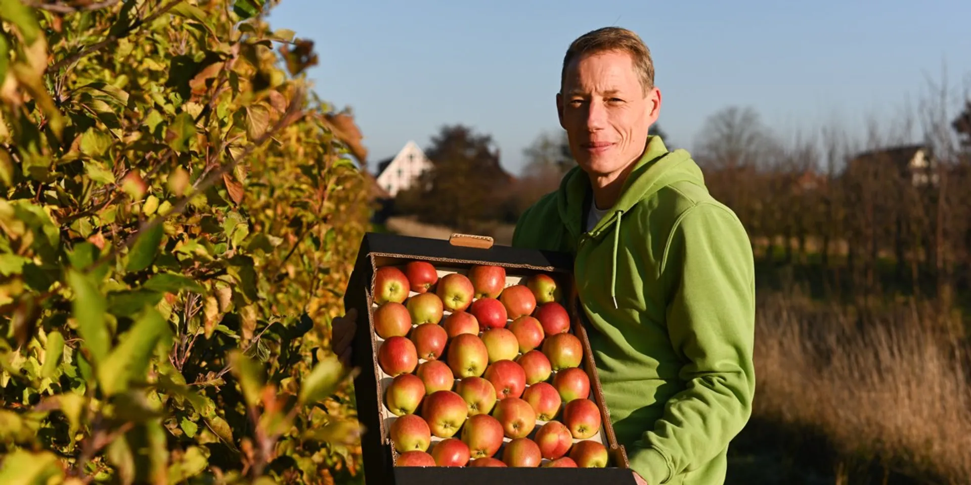 Braeburn Demeter Bio Pfel Von Bio Obsthof Lefers Deutschland Crowdfarming Adoptiere Einen