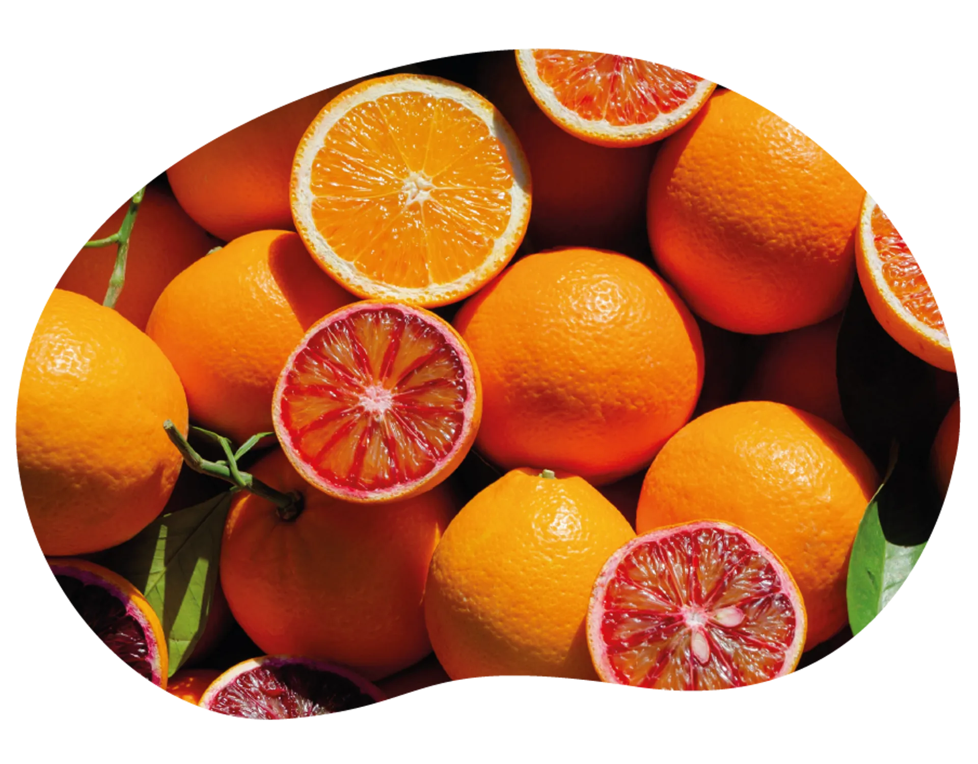 Sustainable citrus from our farmers to you
