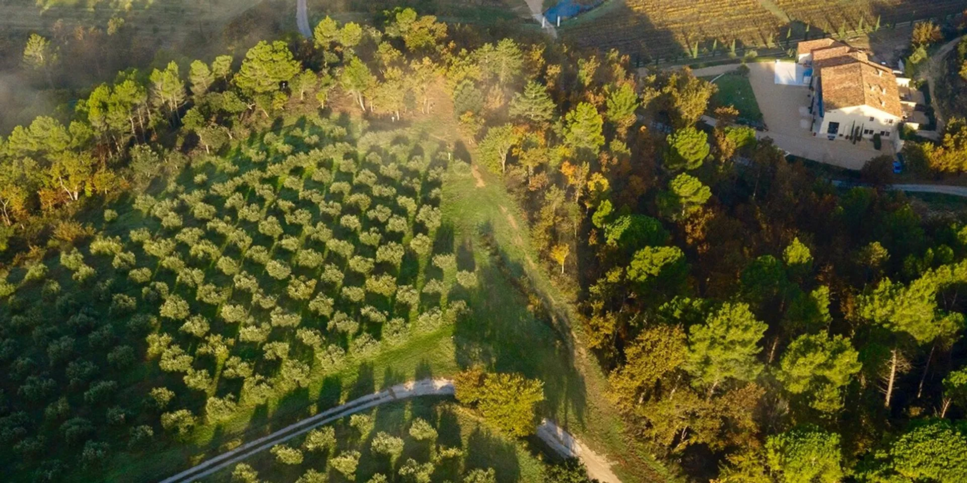 Bio-Extra natives Olivenl von Bastide du Laval | CrowdFarming