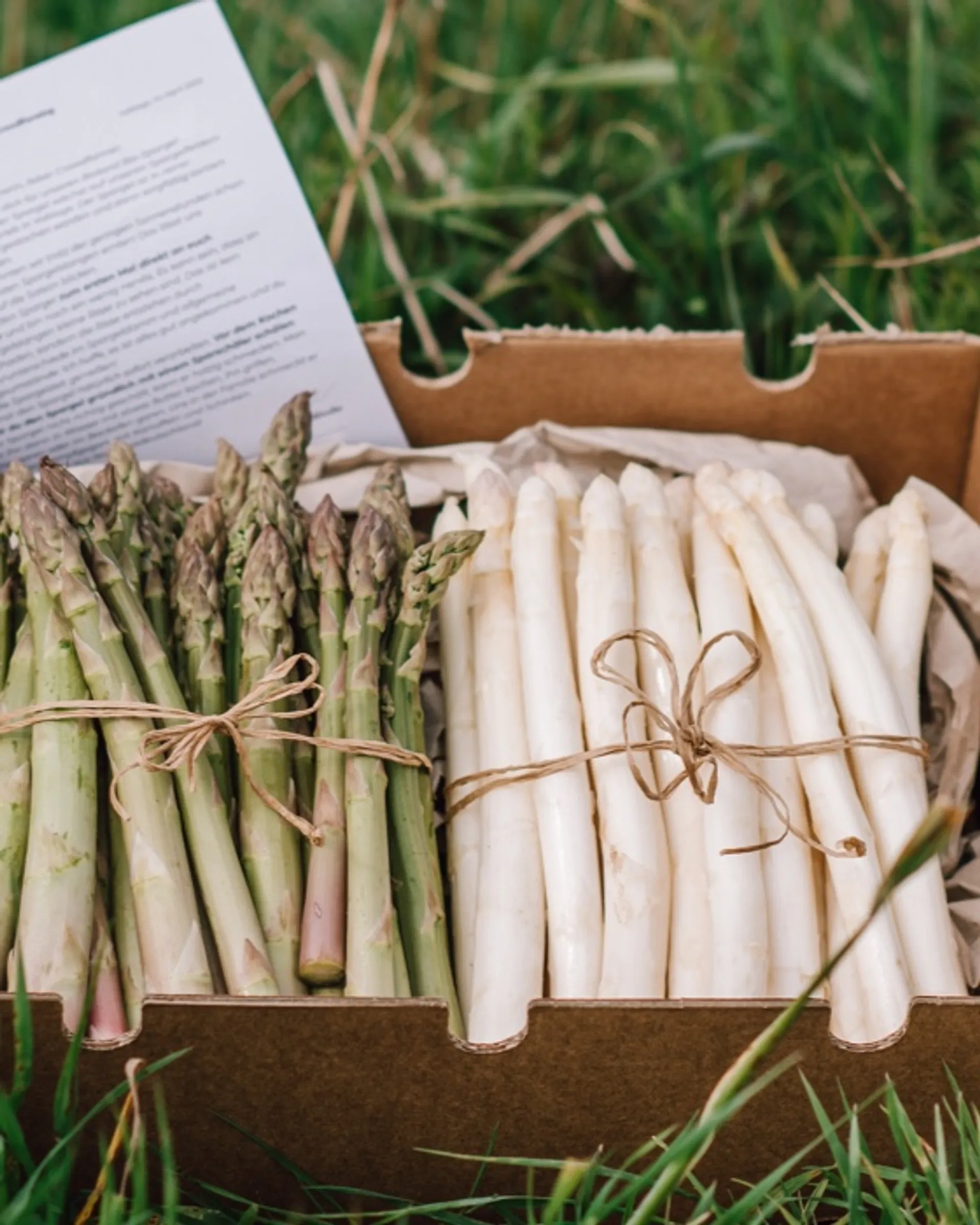 Weißer und grüner Bioland BioSpargel von Biohof Wencker, Deutschland