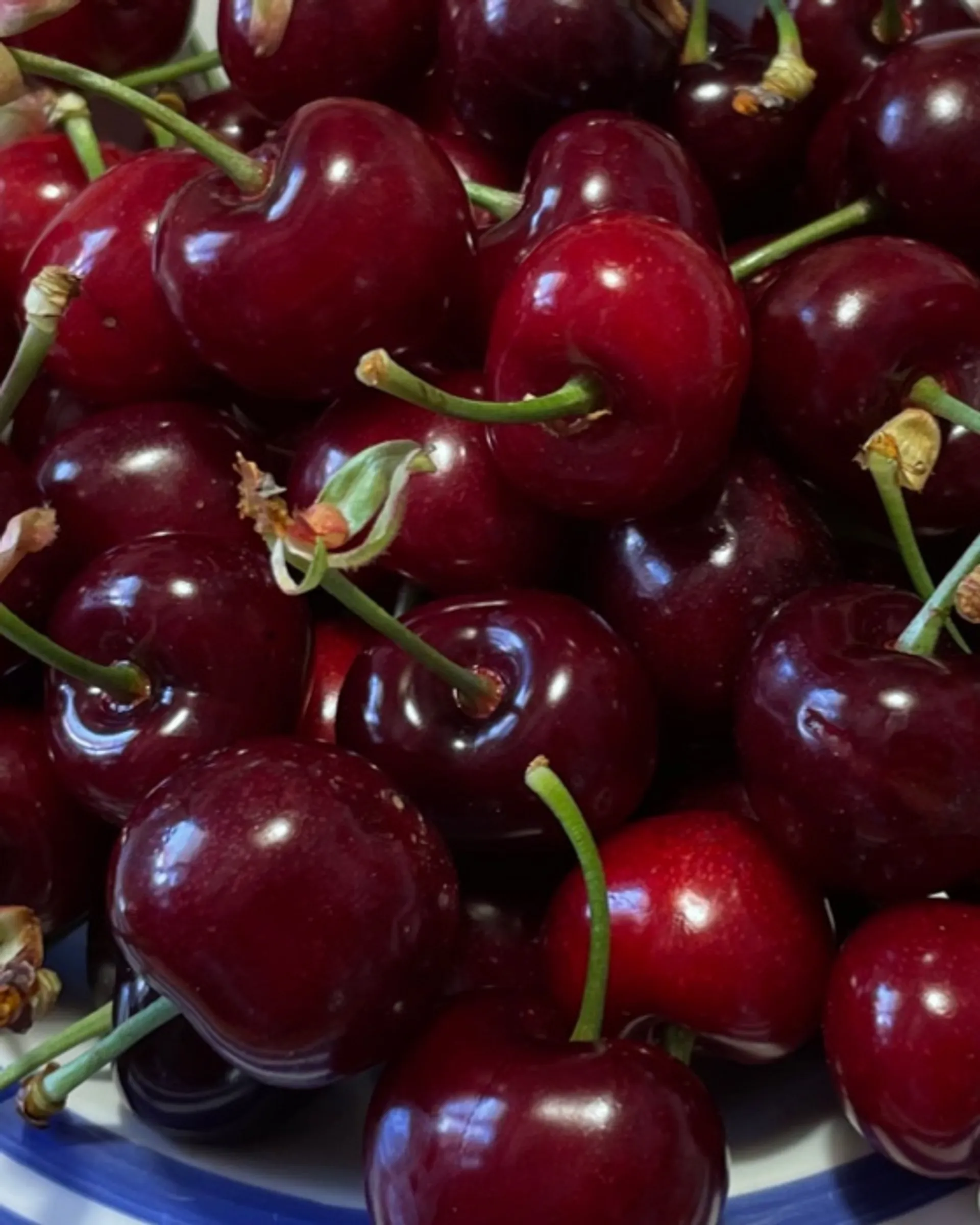 Organic cherries from Finca Fonollars, Spain CrowdFarming farm fresh