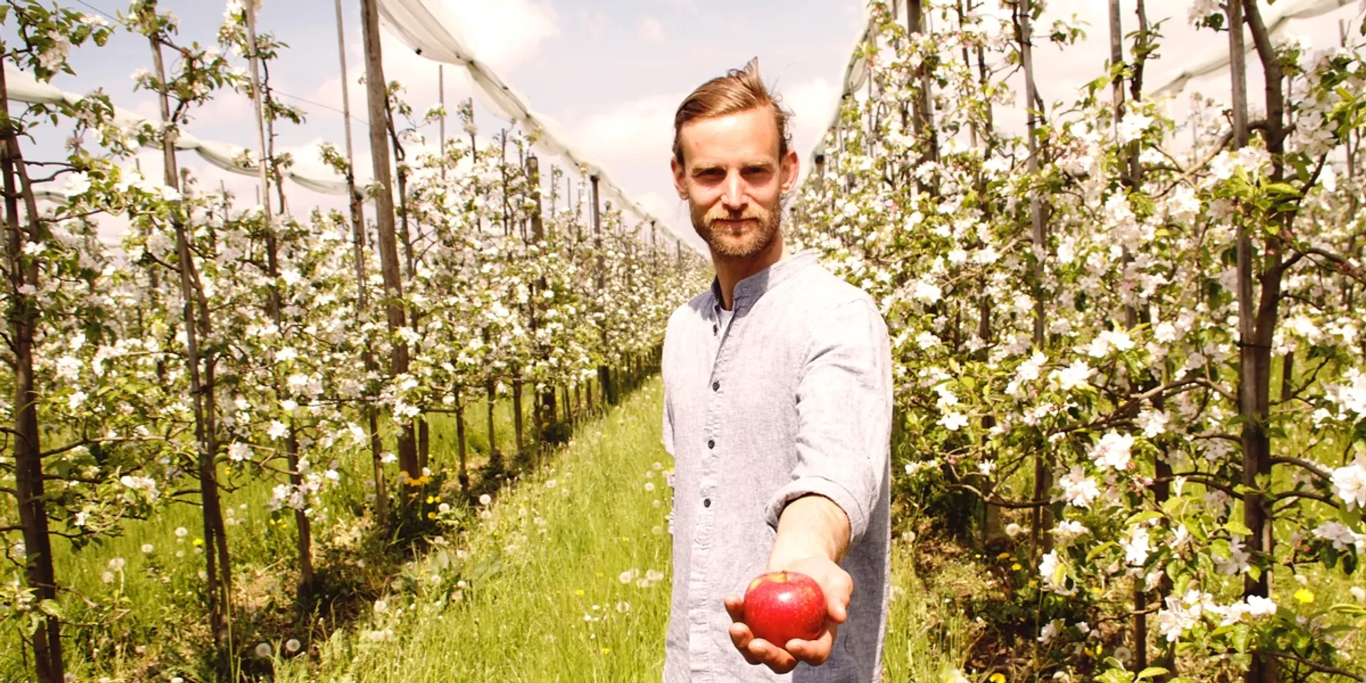 Bioland organic Natyra apples from Biohof Bentelson, Germany ...