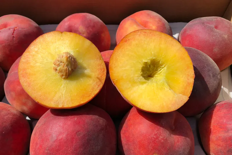 Fresh Yellow Peach, Each