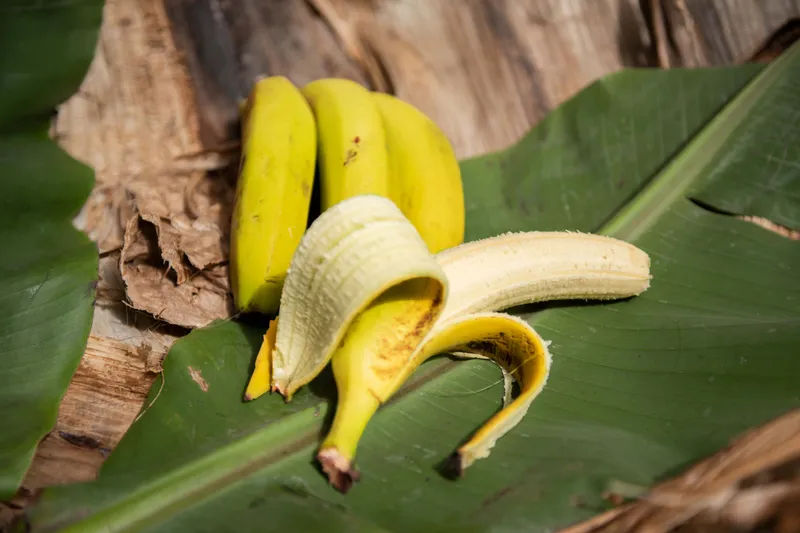 Organisation of a banana bunch.