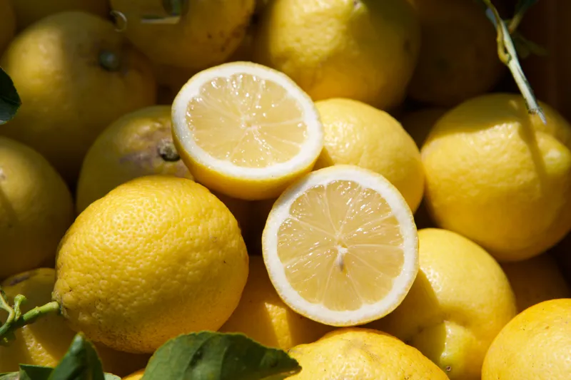 LIMONI BIOLOGICI SICILIANI (FEMMINELLO)