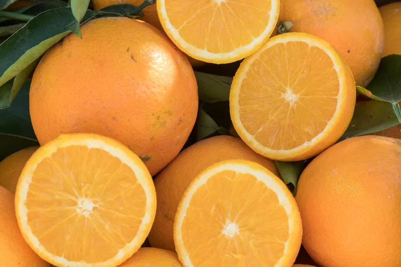 Bio-Orangen von Doña Ana, Spanien