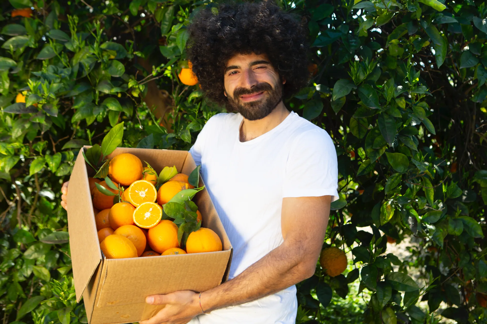 EchteOrangen: Bio-Orangen direkt vom Bauern - Uponmylife