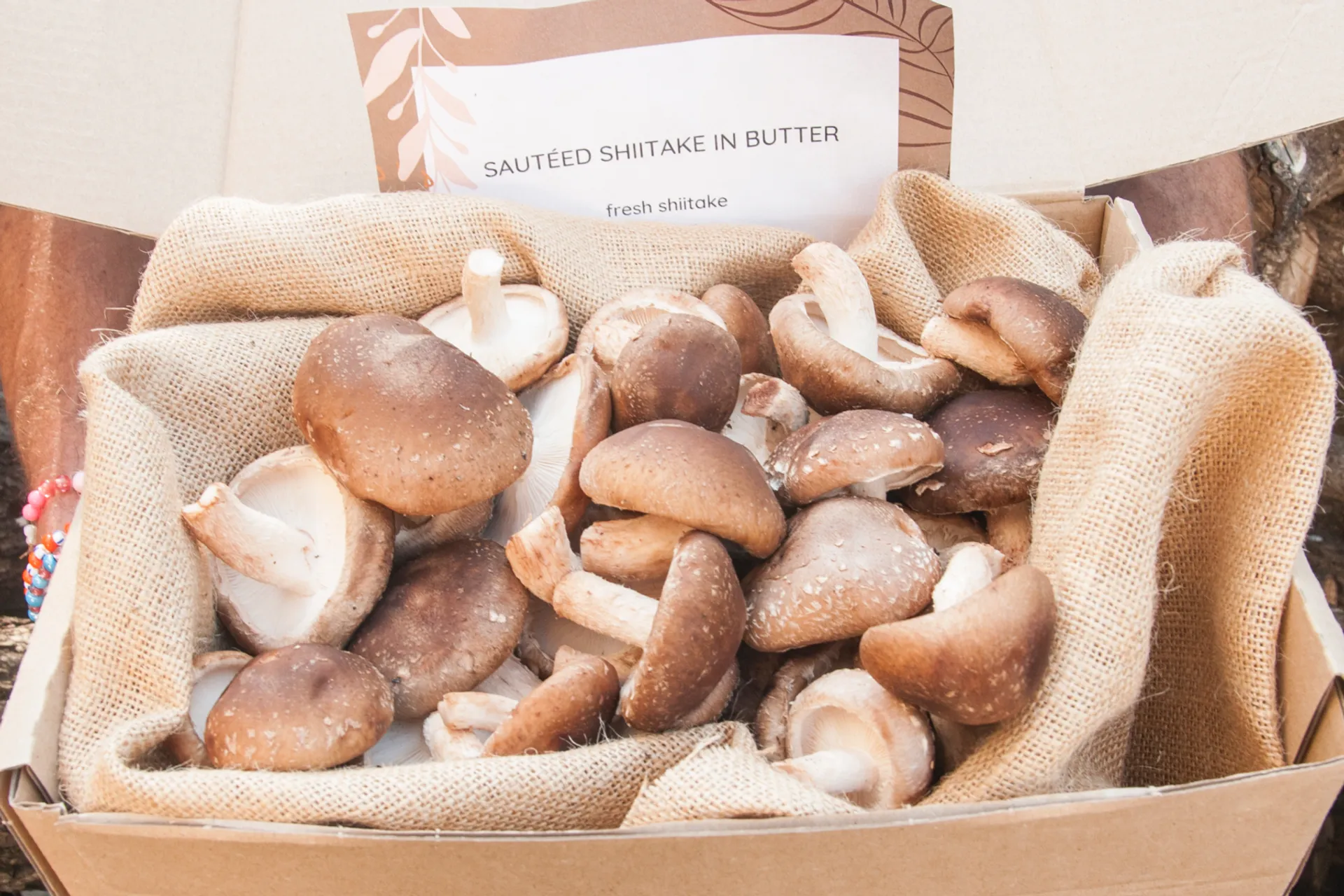 Fresh organic shiitake de True Shiitake, République Tchèque ...