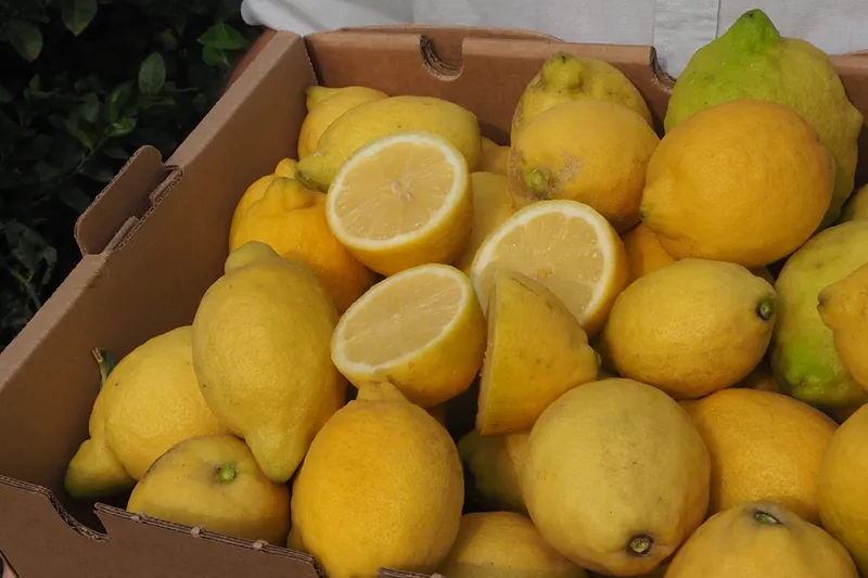 Gemüse Saisonales lassen Obst | liefern Bio-Zitronen Romal, von Spanien und CrowdFarming: