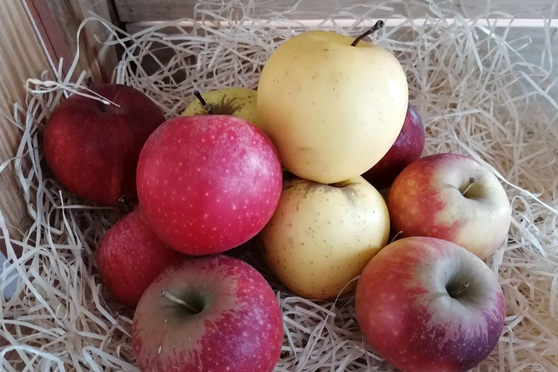 Organic Apples 'Story®' from Frnace