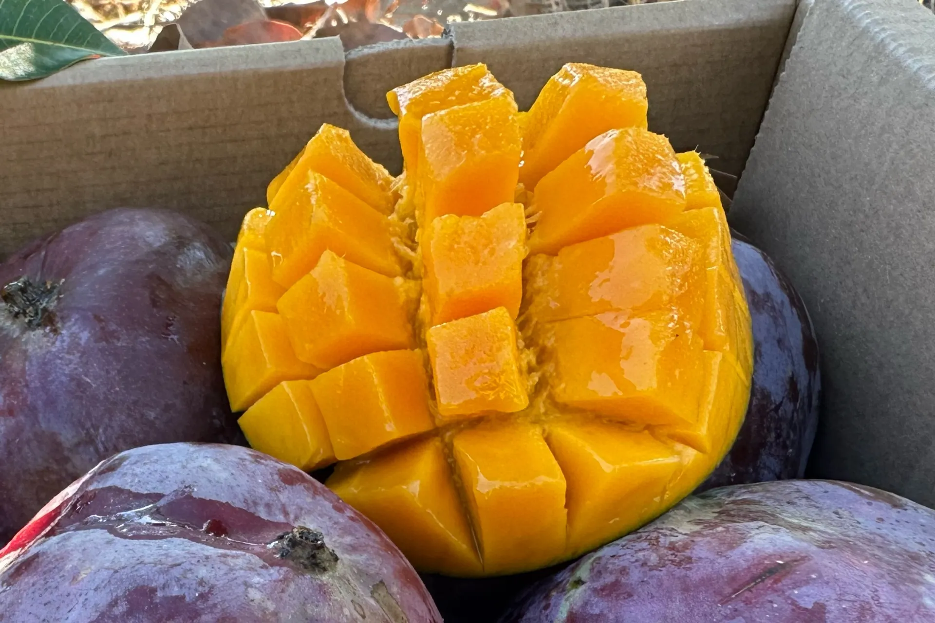 Mangos From El Pe oncillo Spain CrowdFarming Farm Fresh Fruits And mangos-from-el-pe-oncillo-spain-crowdfarming-farm-fresh-fruits-and