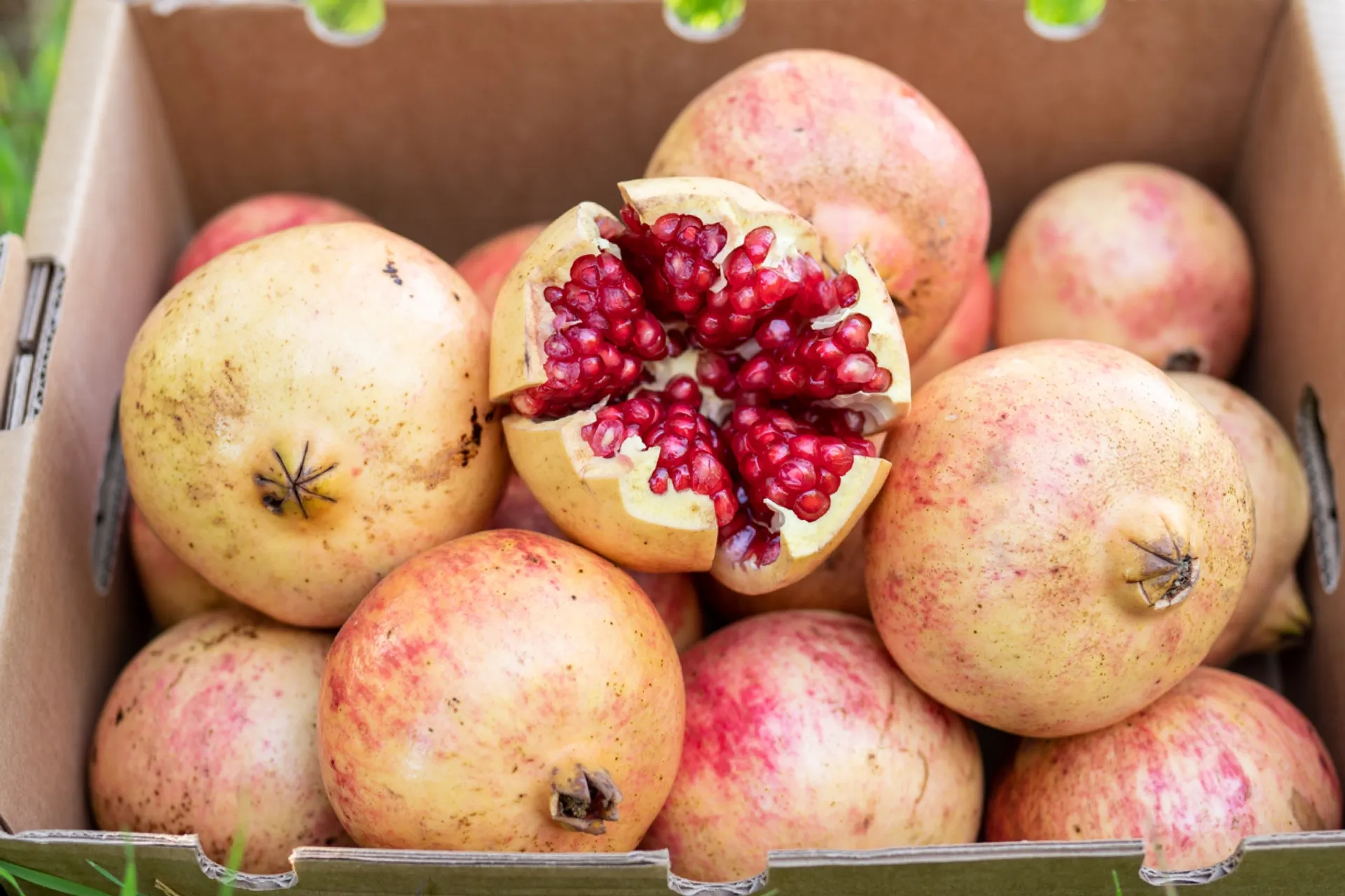 Organic pomegranates van Finca Isla Rubí, Spanje | CrowdFarming