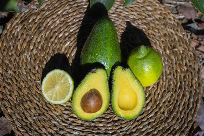 L'avocat : est-ce un fruit ou un légume? Découvrons-le!