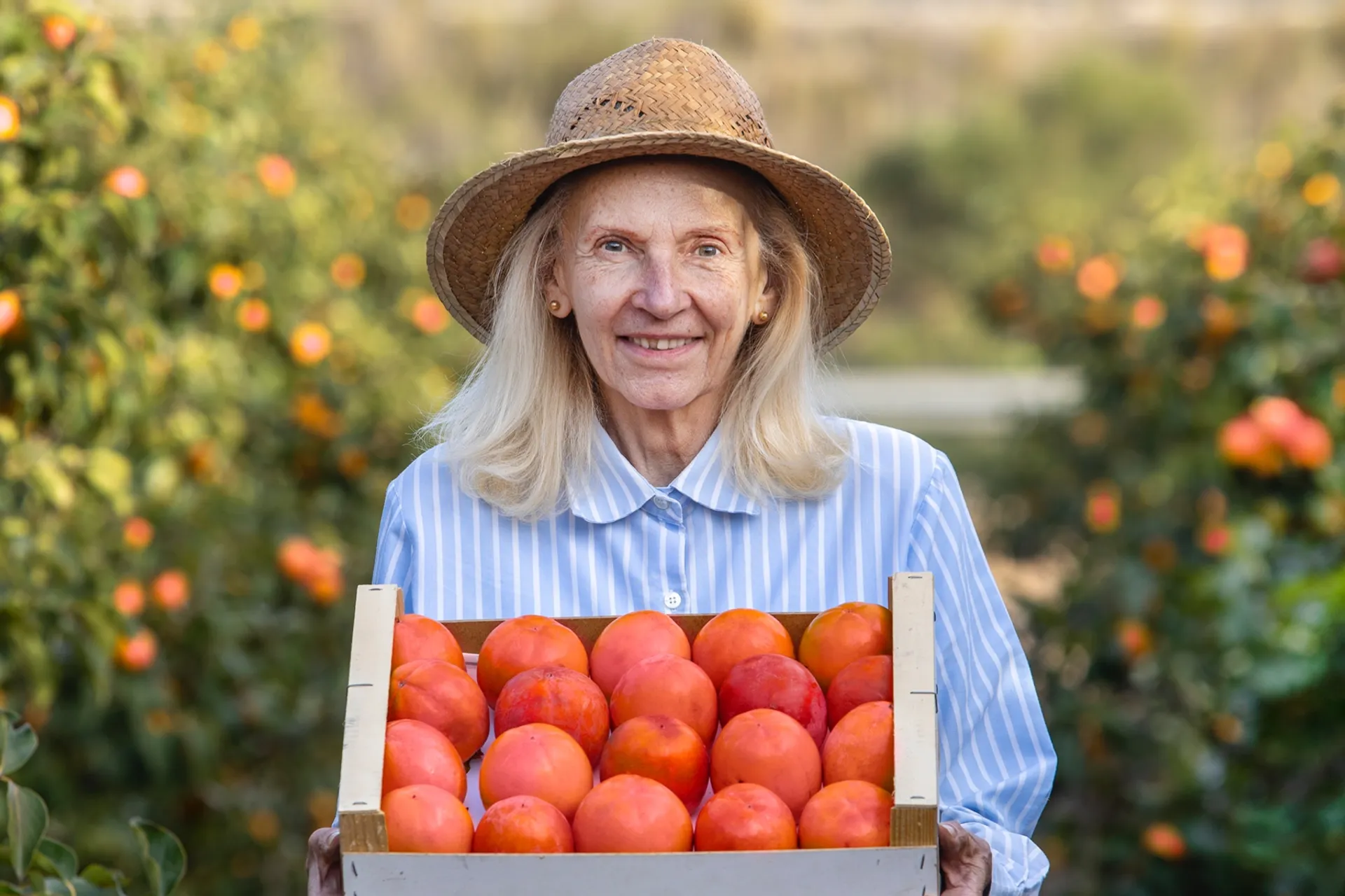 Demeter organic persimmons from Huerto de Belda, Spain | CrowdFarming