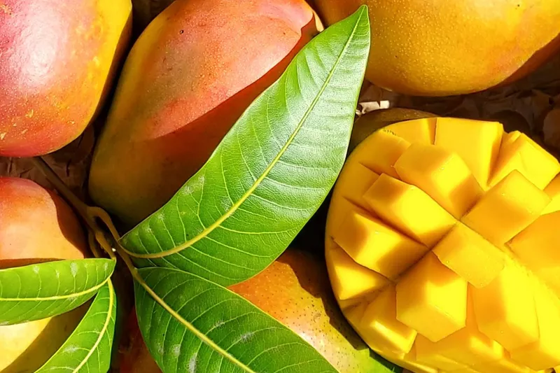 5 bonnes raisons de manger une mangue