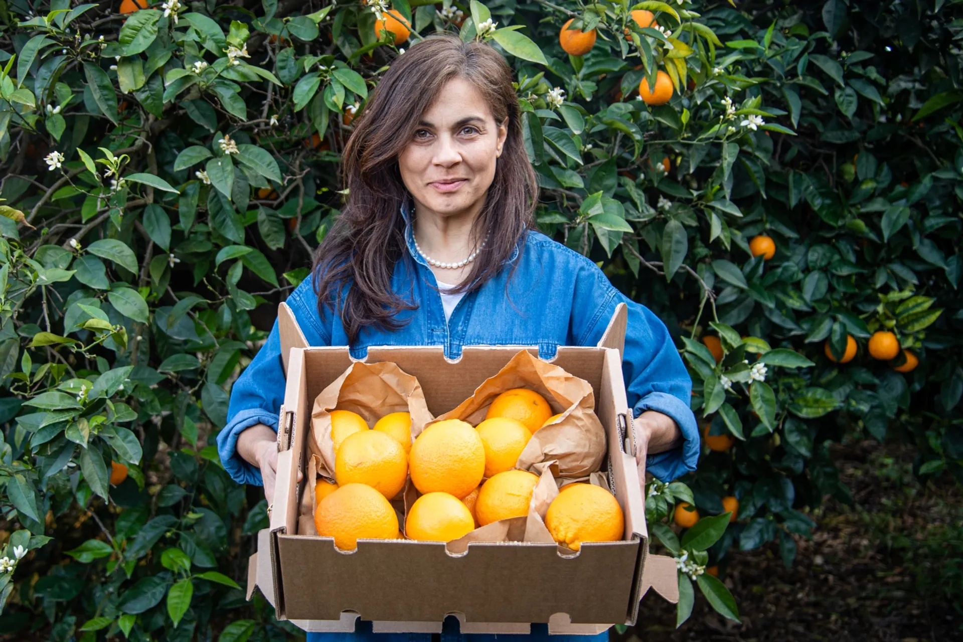 Demeter organic oranges from Azienda Agricola San Mauro, Italy