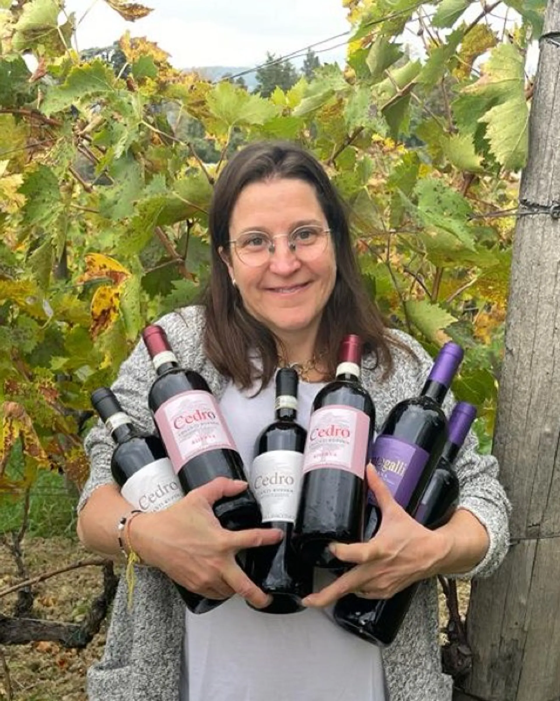 Bio-Wein Chianti Rufina von Fattoria Lavacchio, Italien | CrowdFarming ...