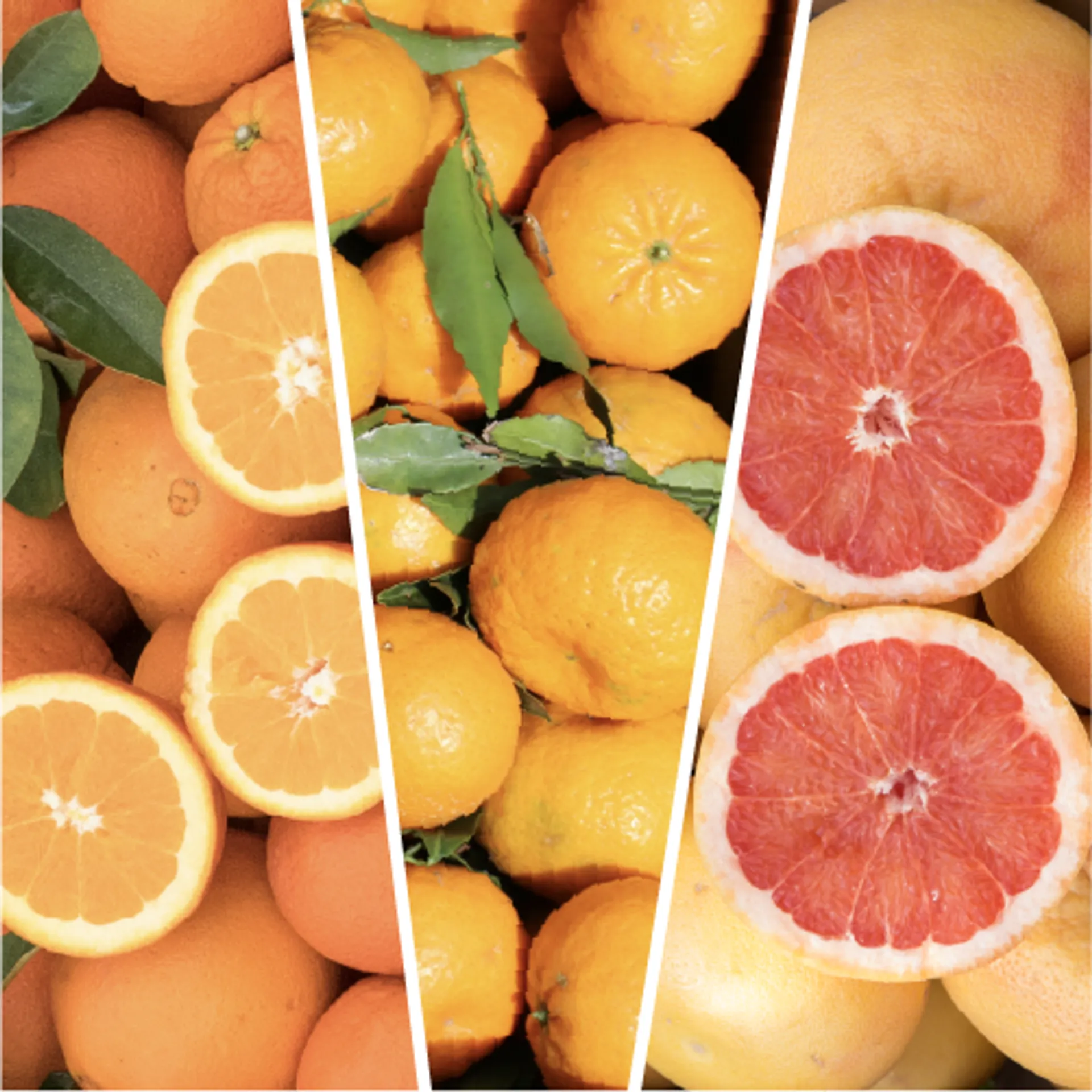 Caisse mixte de fruits BIO | Crowdfarming