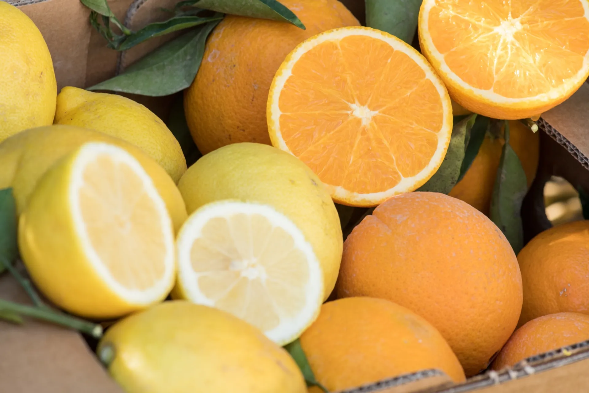 Arance e limoni di Doña Ana, Spagna CrowdFarming: frutta e