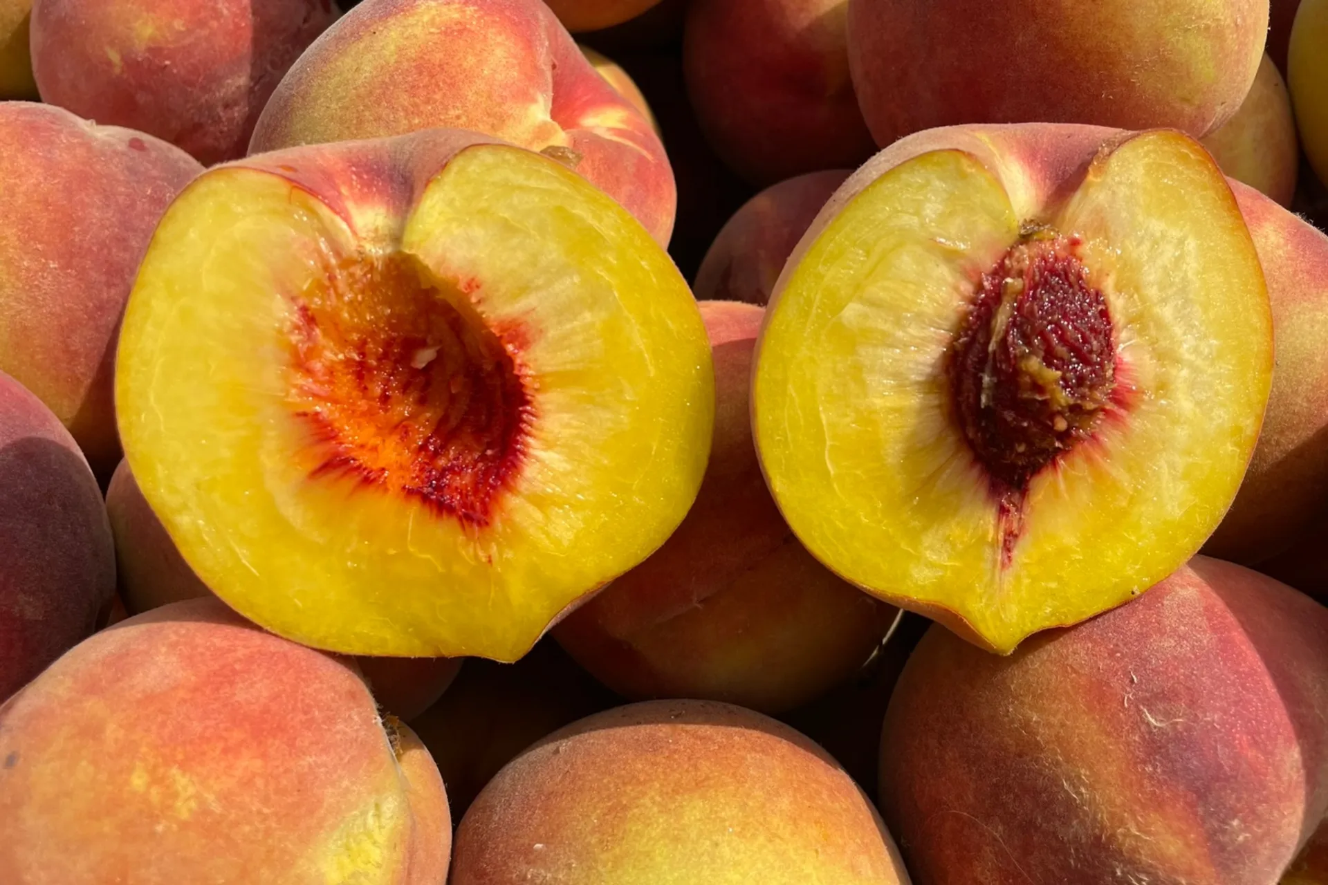 Pfirsiche von BioSanz, Spanien | CrowdFarming: Saisonales Obst und ...