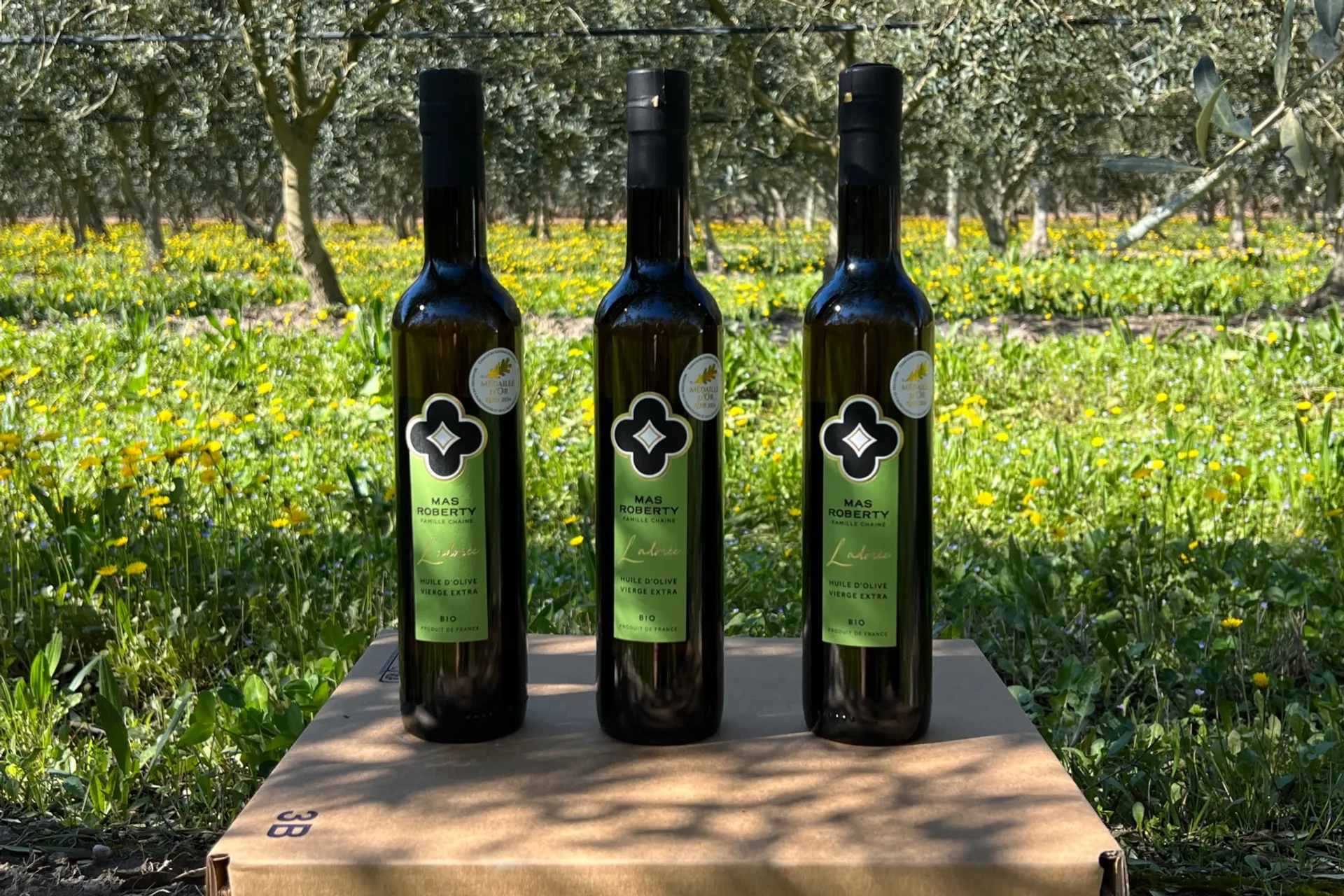 Huile d'olive extra vierge monovariétale Arbequine de Le Mas