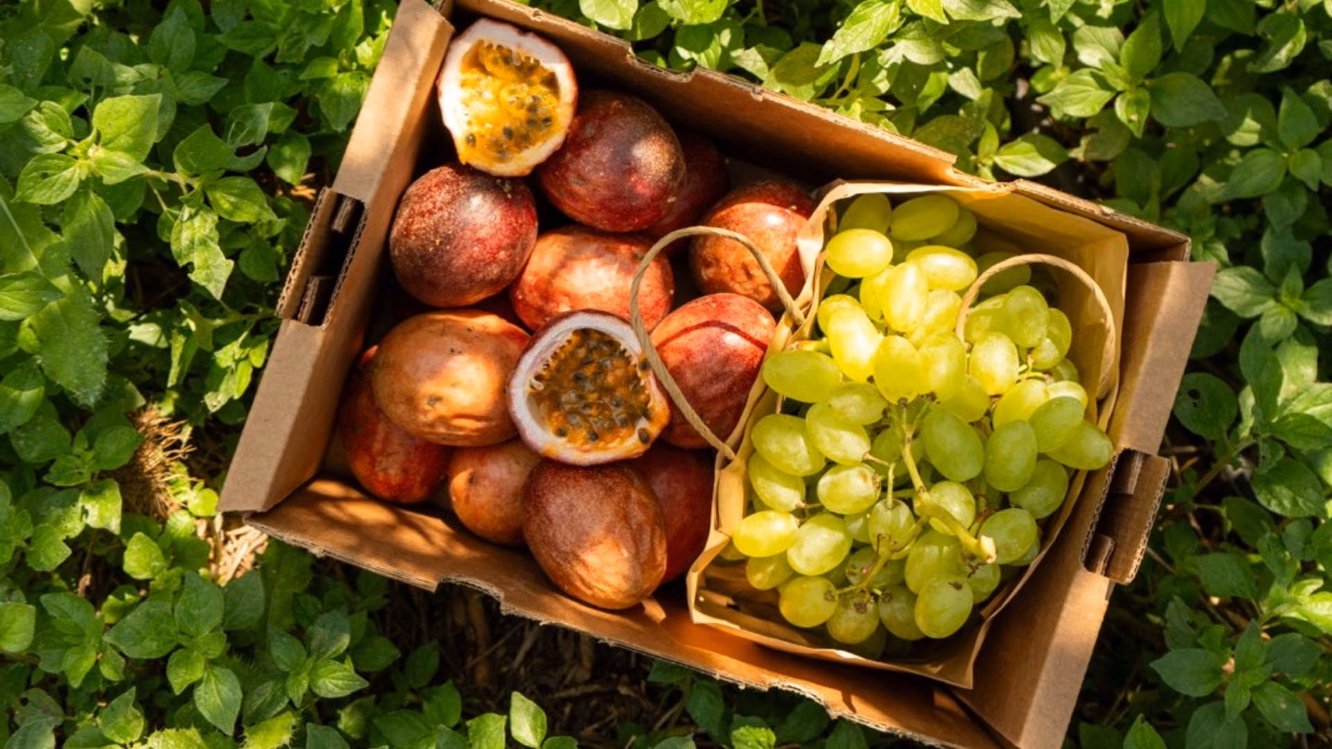 Organic Grapes & Passion fruit mixed box in season from Europe ...