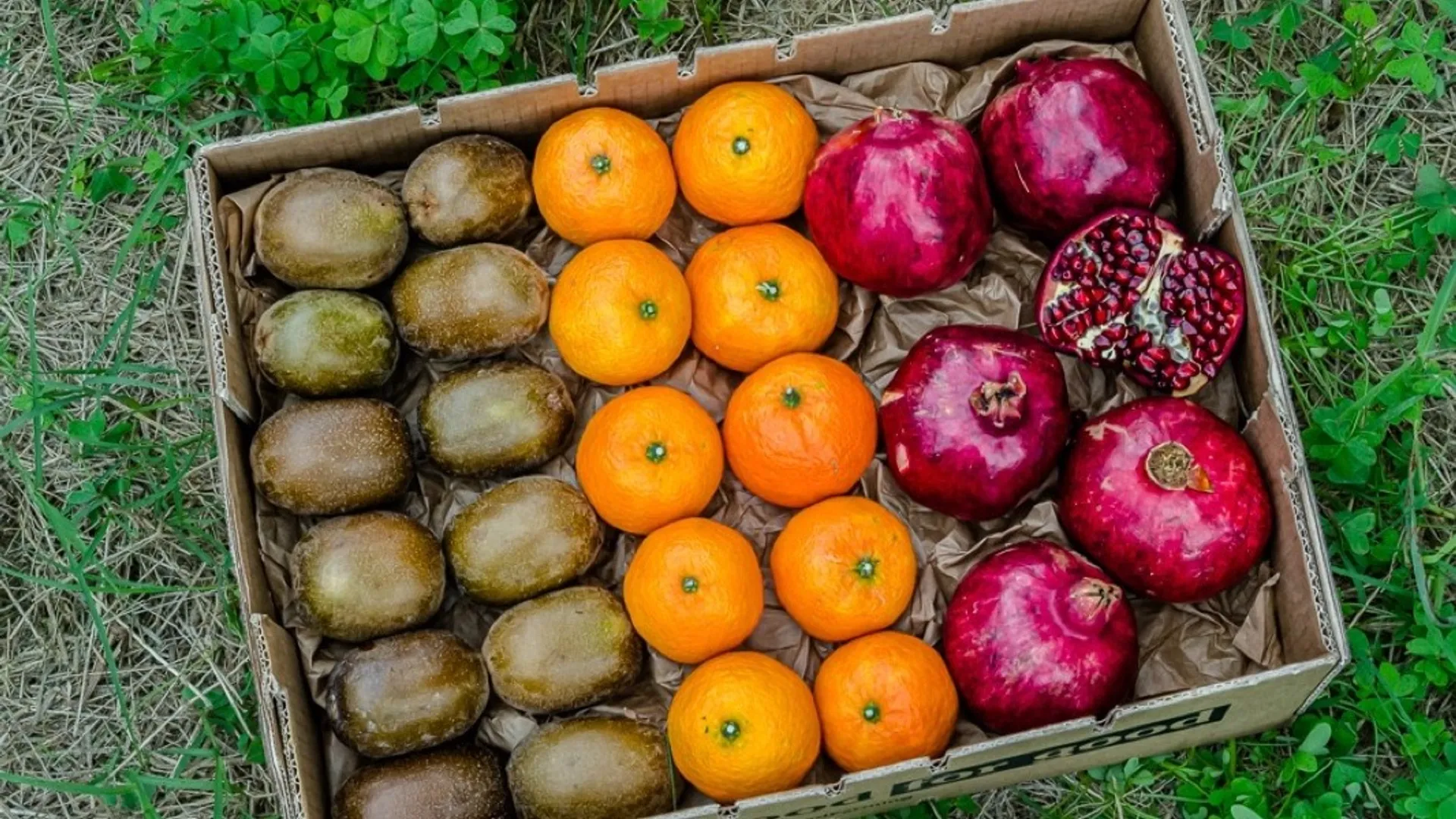 Gemischte Kisten mit Bio-Clementinen und -Kiwis | CrowdFarming