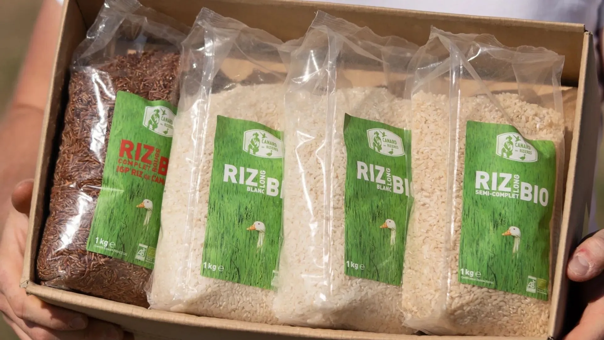 European Rice Pack Organic Rice & Rice mixed box in season from Europe | CrowdFarming