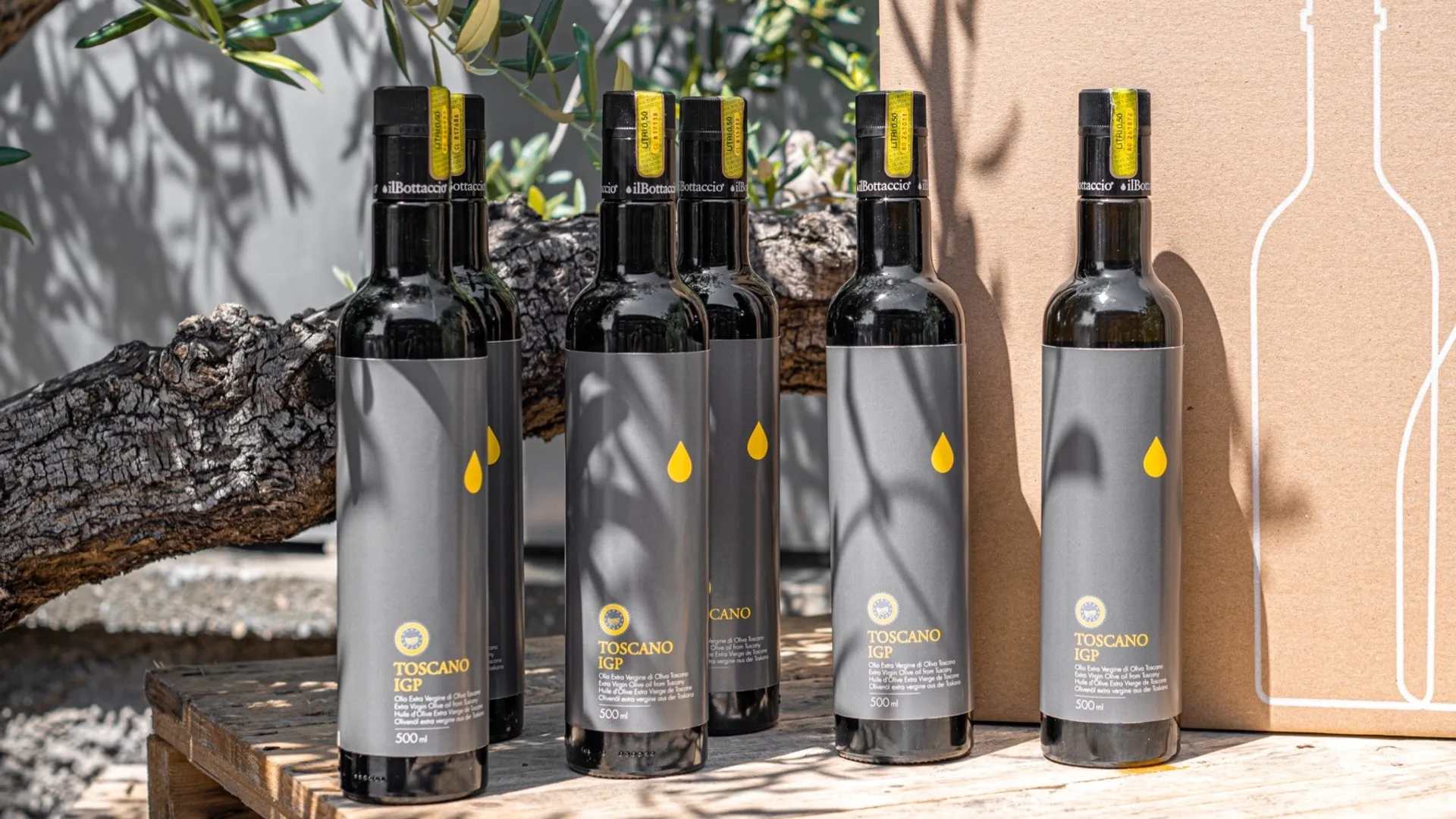 Bio-Extra natives Olivenl von Il Bottaccio | CrowdFarming
