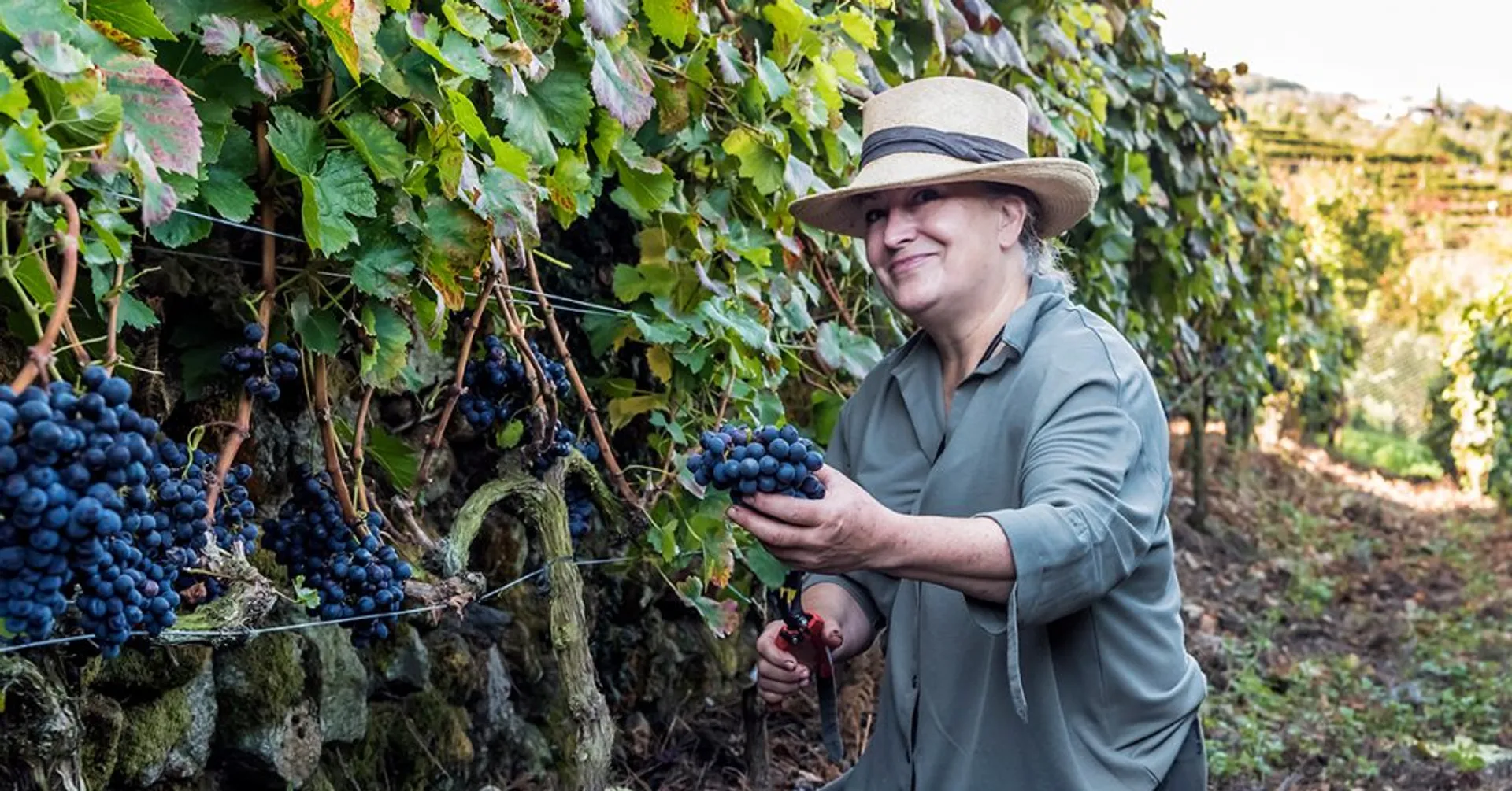 Bodega Ronsel do Sil - María José Yravedra